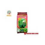 TRÀ ĐEN SỐ 9 SAO VÀNG